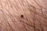 Get ready to tackle ticks